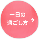 一日の過ごし方